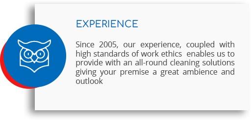 Cleaning Company Experience