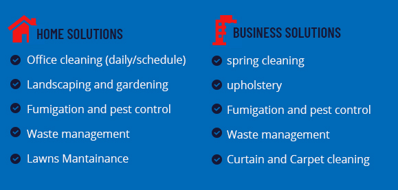 Cleaning Solutions